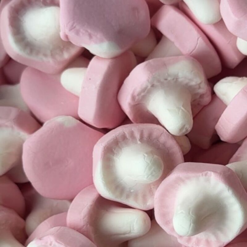 MUSHROOM-FRUIT