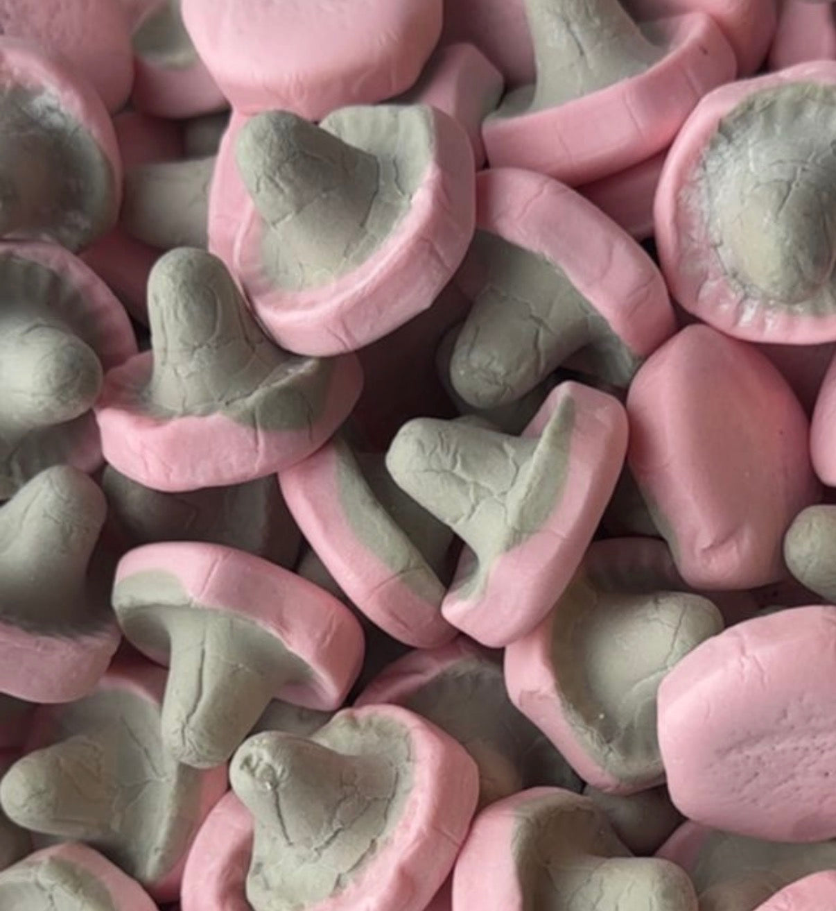 MUSHROOMS FRAMBOOS- DROP